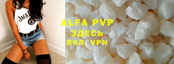 гидра Белокуриха