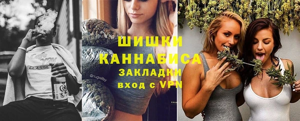гидра Белокуриха