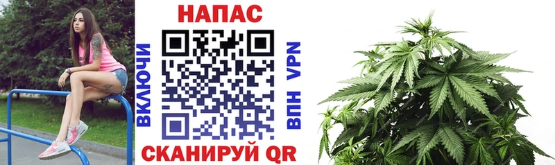 MEGA маркетплейс  Касли  Каннабис LSD WEED 